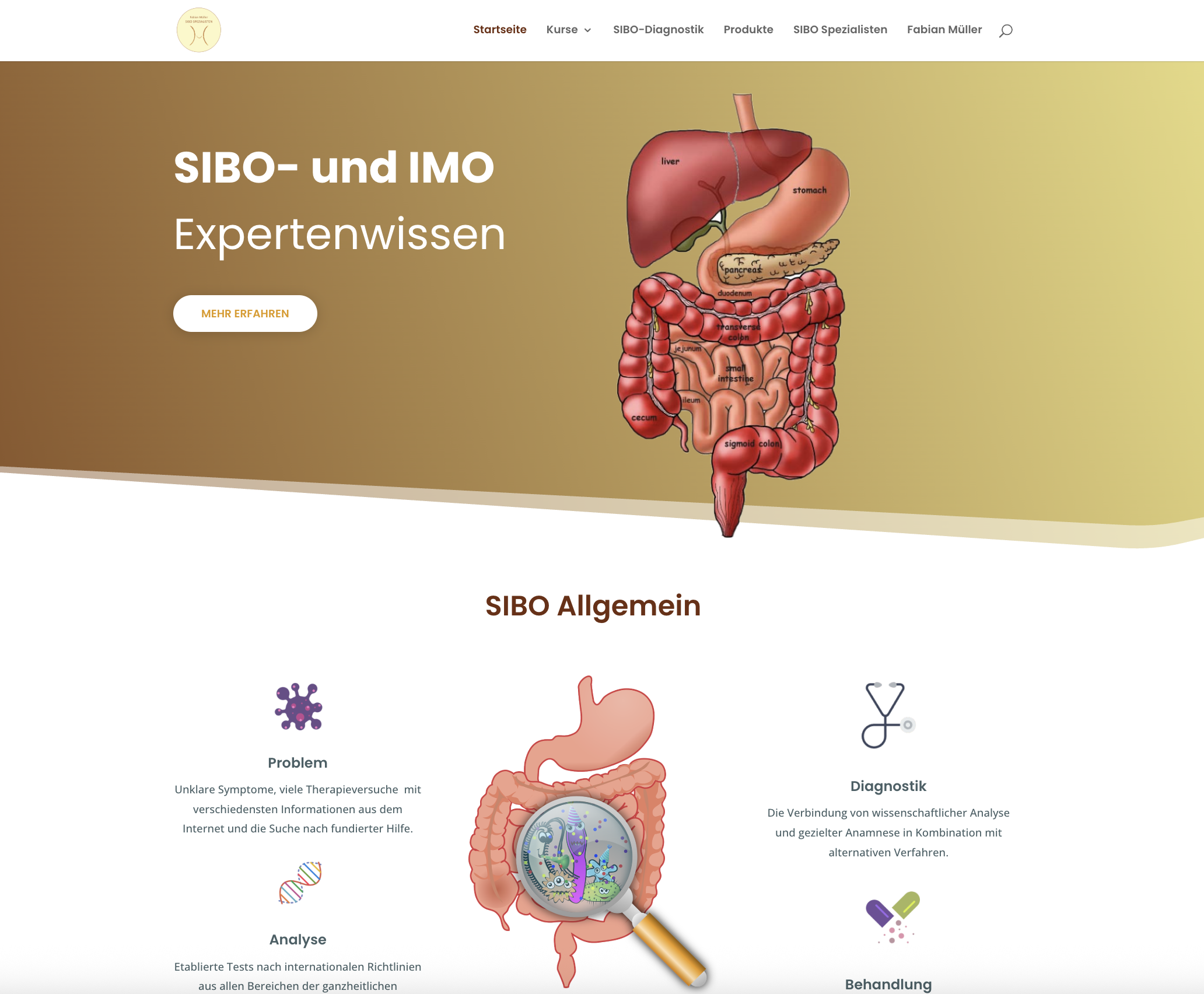 SIBO Info Website